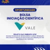 Vale